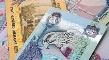 – سعر الإمارات العربية المتحدة درهم ، 31 يناير 2025 ، تعرف على الأسعار في مصر