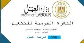 3862 فُرصة عمل جديدة في 59 شركة خاصة تنتظر شباب 10 محافظات.. والتقديم خلال فبراير ومارس 2025