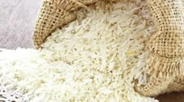 أسعار الأرز الشعير اليوم الاثنين في الأسواق