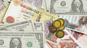 أسعار العملات الأجنبية اليوم الأحد 16 فبراير 2025