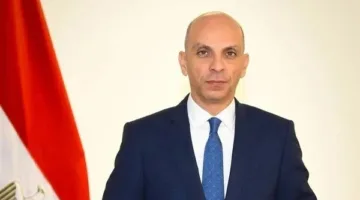 أي أطروحات أو مقترحات تلتف حول ثوابت الموقف المصري والعربي مرفوضة