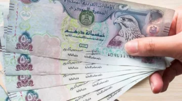 استقرار سعر الدرهم الإماراتي أمام الجنيه المصري اليوم