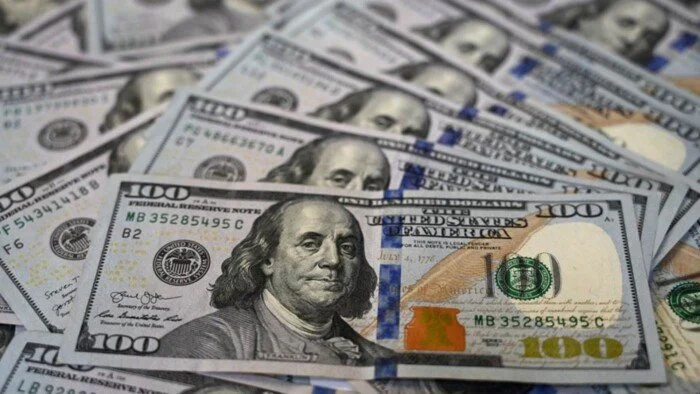 استقرار سعر الدولار في مصر اليوم ، 1 فبراير 2025