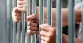 القبض على سائق توك توك لسرقته إطار سياره ربع نقل في الغربيه