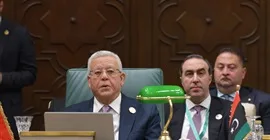 المخططات الخبيثة لتهجير الفلسطينيين تشكل تهديدا فادحا لثوابت الأمن القومي العربي