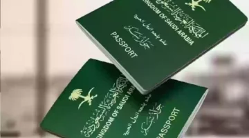 تأشيرة الزيارة العائلية، اعرف شروط الحصول على تأشيرة الزيارة العائلية الجديدة للمملكة العربية السعودية