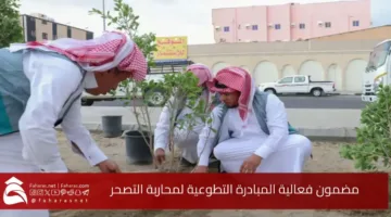 تطلق بلدية طيف مبادرة طوعية لتحسين الغطاء النباتي والتصحر القتالي في عام 2024