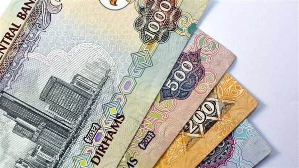 سعر الإمارات العربية المتحدة اليوم 14-2-2025 في مصر في البنوك