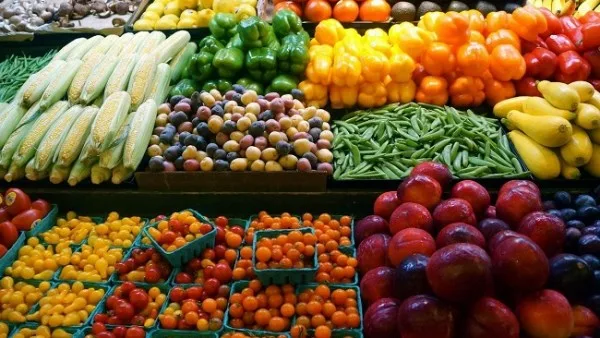 لجميع المحاصيل.. روشتة للمزارعين بأهم التوصيات الواجب اتباعها