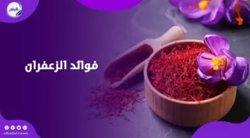 ماذا سيحدث لجسمك إذا تناولت الزعفران؟.. فوائد مذهلة