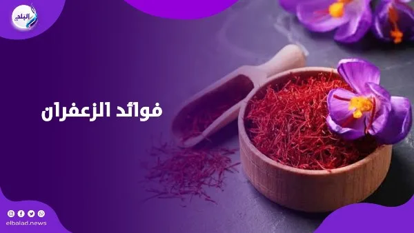 ماذا سيحدث لجسمك إذا تناولت الزعفران؟.. فوائد مذهلة