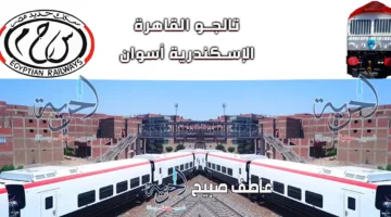 متعة السفر وأمان الوصول| موعد قطار تالجو القاهرة الإسكندرية أسوان وأسعار التذاكر