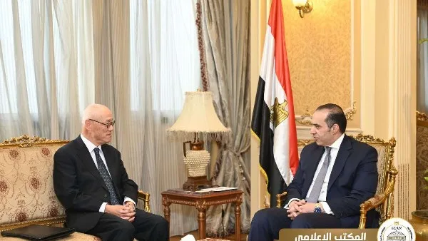 مصر ترفض التهجير القسري للفلسطينيين وتتمسك بحل الدولتين