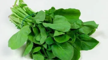 مفعوله قوي وسريع.. نبات ينظف المعدة و يقوي الشعر