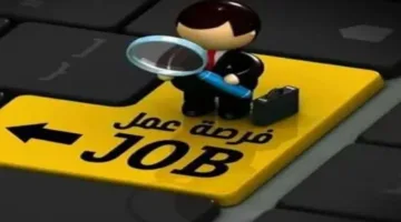 وظائف جامعة الوادي الجديد 2025، الشروط والمستندات المطلوبة للتقديم