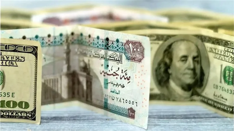 يثبت الدولار أقدامه في مصر ، واستقرار الأسعار على الرغم من تقلبات الأسواق العالمية