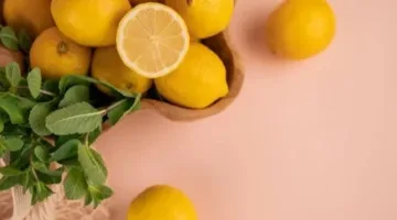 الليمون والزعتر هما الافضل.. كيف تؤثر الروائح على الحالة المزاجية للإنسان؟