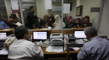 عام وخاص.. إجراءات استقالة الموظفين في القانون