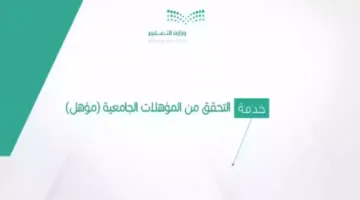 منصة مؤهل تسجيل الدخول، بوابتك نحو المستقبل المهني في السعودية