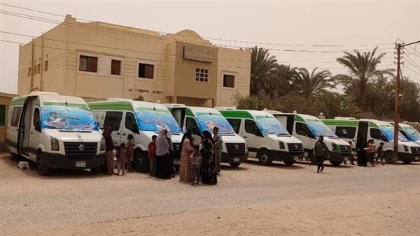 قافلة طبية بقرية المحسمة بمركز القصاصين