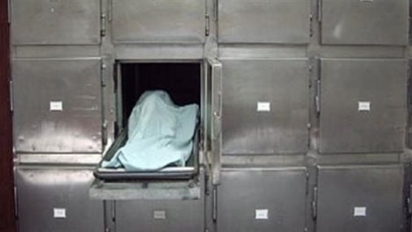 مصرع طالب وإصابة آخر في حادث تصادم بالدقهلبة