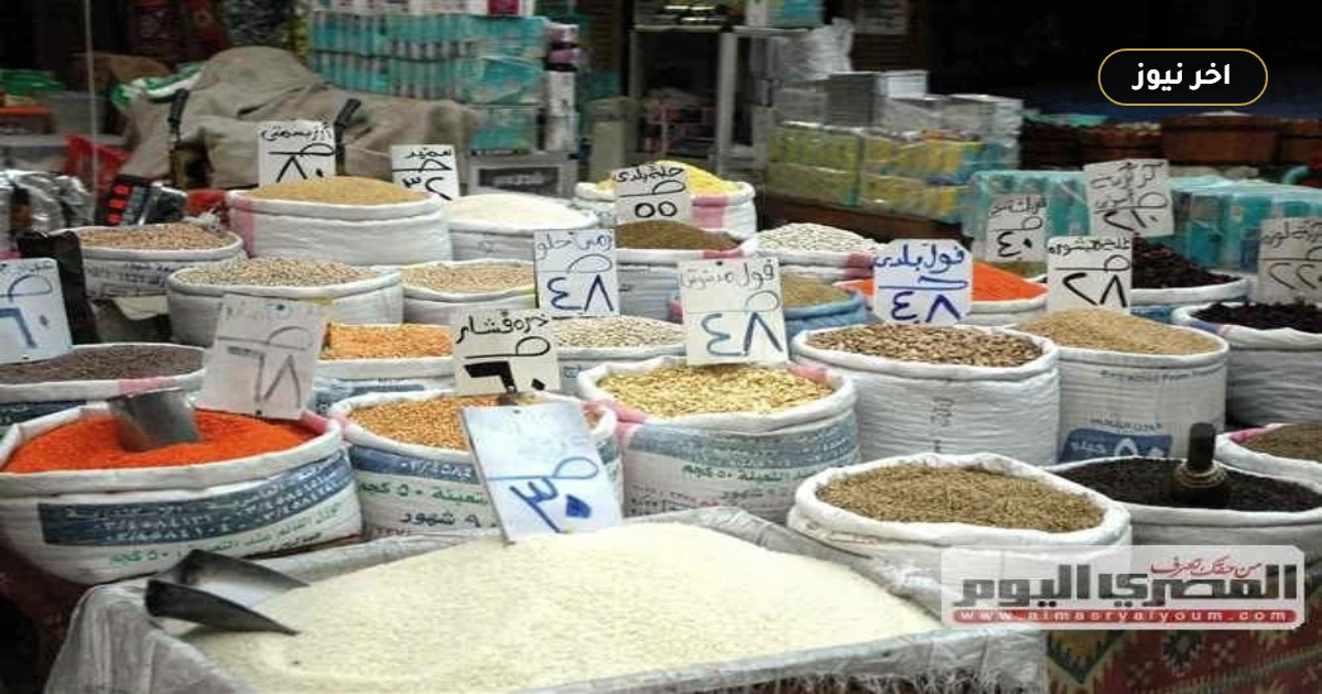 «استقرار في أسواق الصعيد».. قائمة أسعار طن الأرز الشعير والأبيض في المنيا الخميس 1 أكتوبر 2026