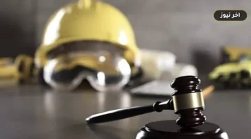 حقوق الموظفين عند التحول والتخصيص: توزيع المستحقات بين الجهات وفق قرار مجلس الوزراء 318