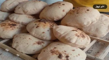«لمنع الزيادات غير المبررة».. وزير التموين يحسم تكلفة إنتاج الخبز السياحي والفينو وضوابط تداول الدقيق