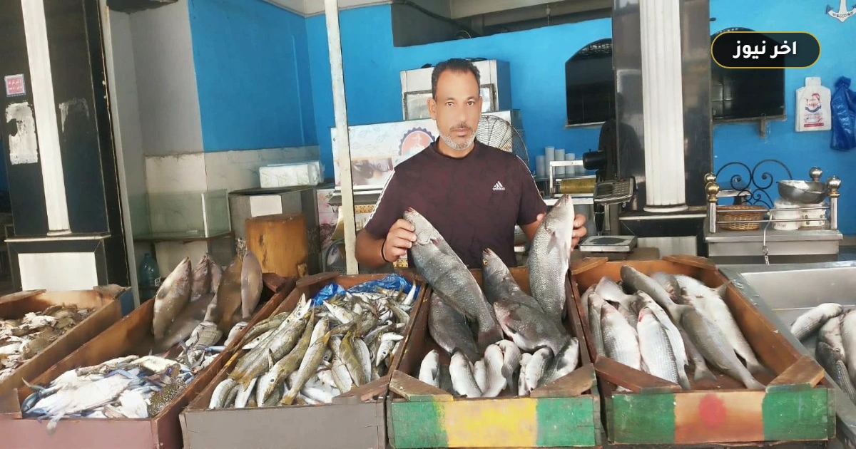«البلطي يبدأ من 90 جنيهاً».. قائمة أسعار الأسماك والمأكولات البحرية في مطروح اليوم 1 أكتوبر 2026