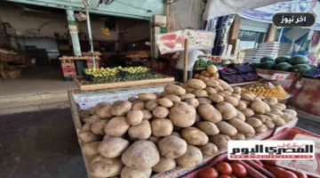 الليمون والبامية يسجلان 60 جنيهاً.. أسعار الخضروات في أسواق مطروح اليوم الخميس 1 أكتوبر 2026