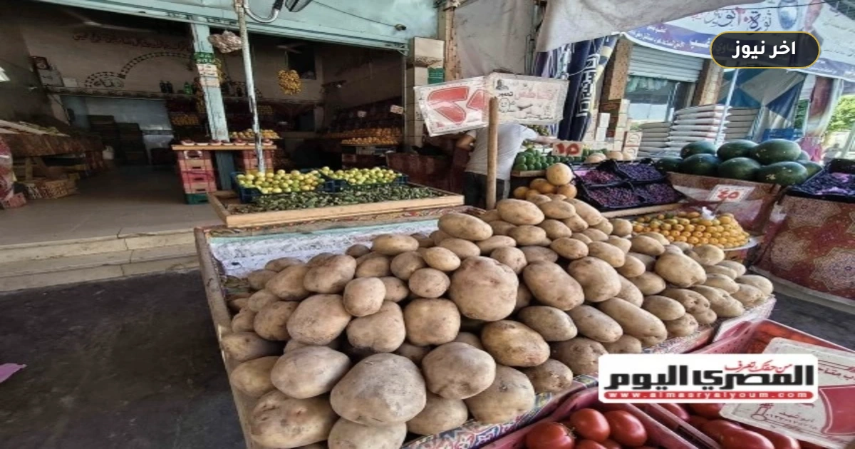 الليمون والبامية يسجلان 60 جنيهاً.. أسعار الخضروات في أسواق مطروح اليوم الخميس 1 أكتوبر 2026
