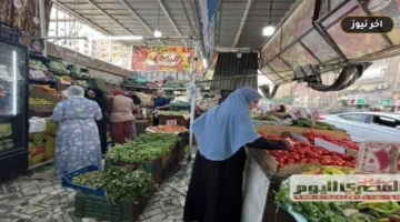 فروق أسعار الخضار والفاكهة بين الجملة والتجزئة في أسواق الشرقية اليوم الخميس 1 أكتوبر 2026