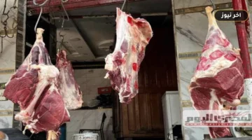 فروق تصل إلى 250 جنيهاً بين القطعيات والمنافذ — أسعار اللحوم في الأقصر اليوم الخميس 1 أكتوبر 2026