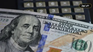 سعر الدولار والعملات الرسمية اليوم الخميس 1 أكتوبر 2026: خريطة الصرف في البنك المركزي المصري